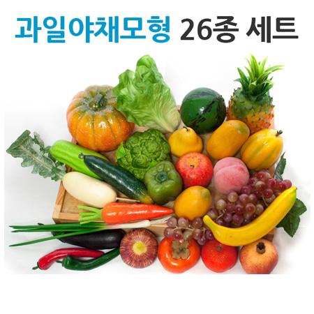 과일야채모형26종